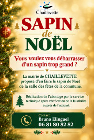 RECYCLAGE SAPIN 